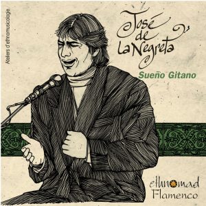 Sueno Gitanos - Flamenco - Vol.8