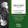 Mozart - Une petite musique de nuit